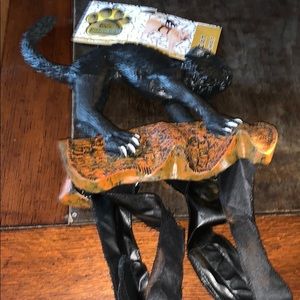 dog riders cat halloween costume